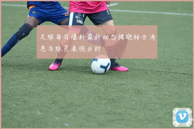 足球每日爆料最新动态揭晓转会消息与球员表现分析
