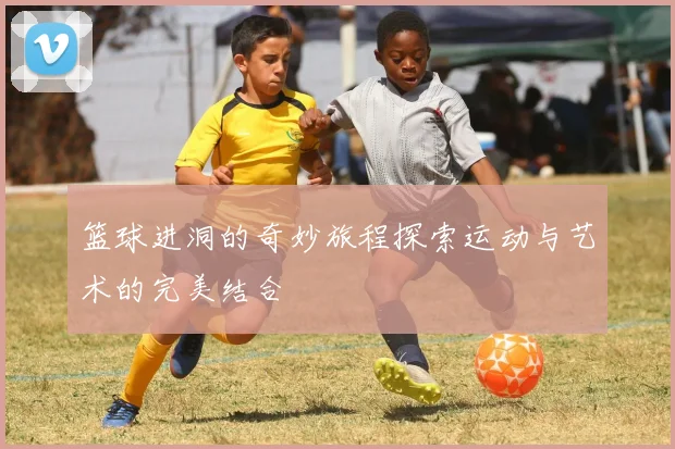 篮球进洞的奇妙旅程探索运动与艺术的完美结合