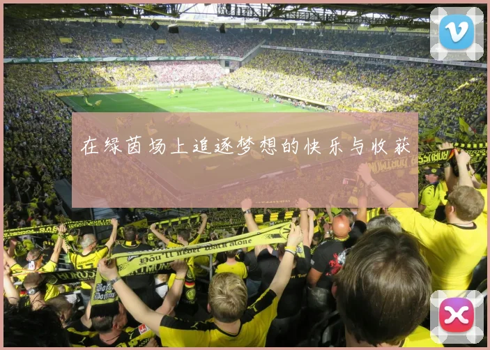 在绿茵场上追逐梦想的快乐与收获
