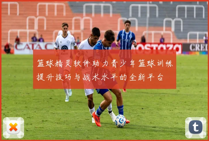 篮球精灵软件助力青少年篮球训练提升技巧与战术水平的全新平台