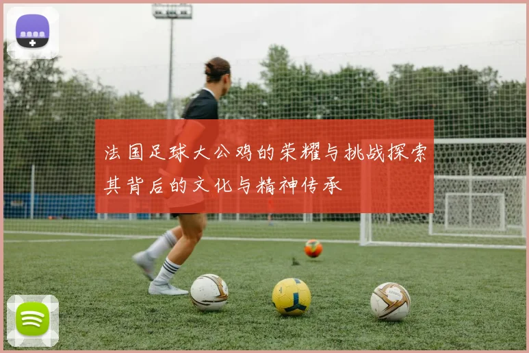 法国足球大公鸡的荣耀与挑战探索其背后的文化与精神传承